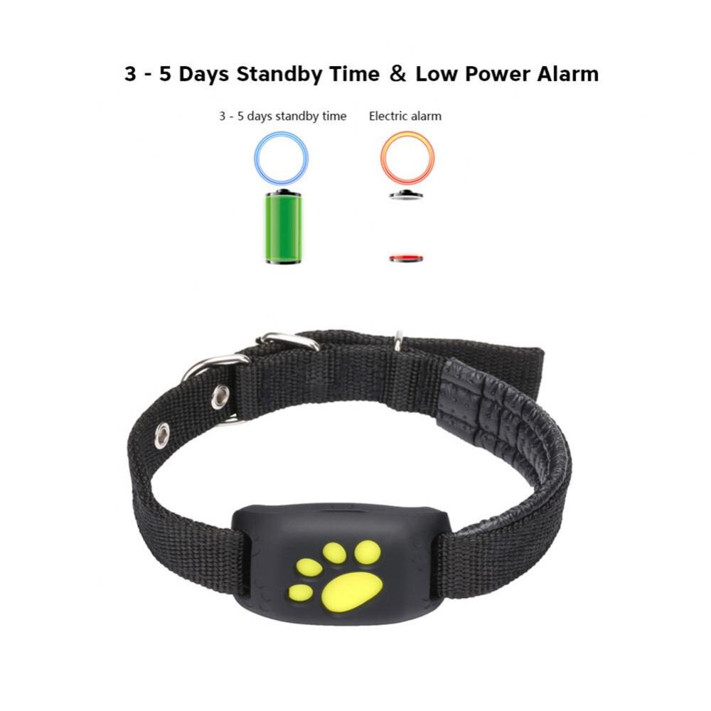 GPS Cat Tracker – Real-Time Location Device for Cats with Geofencing Alert