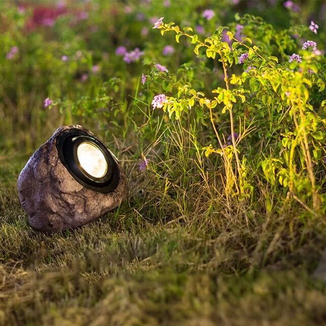 Outdoor Floor Lamp with Natural Aesthetic for Home and Garden Decor