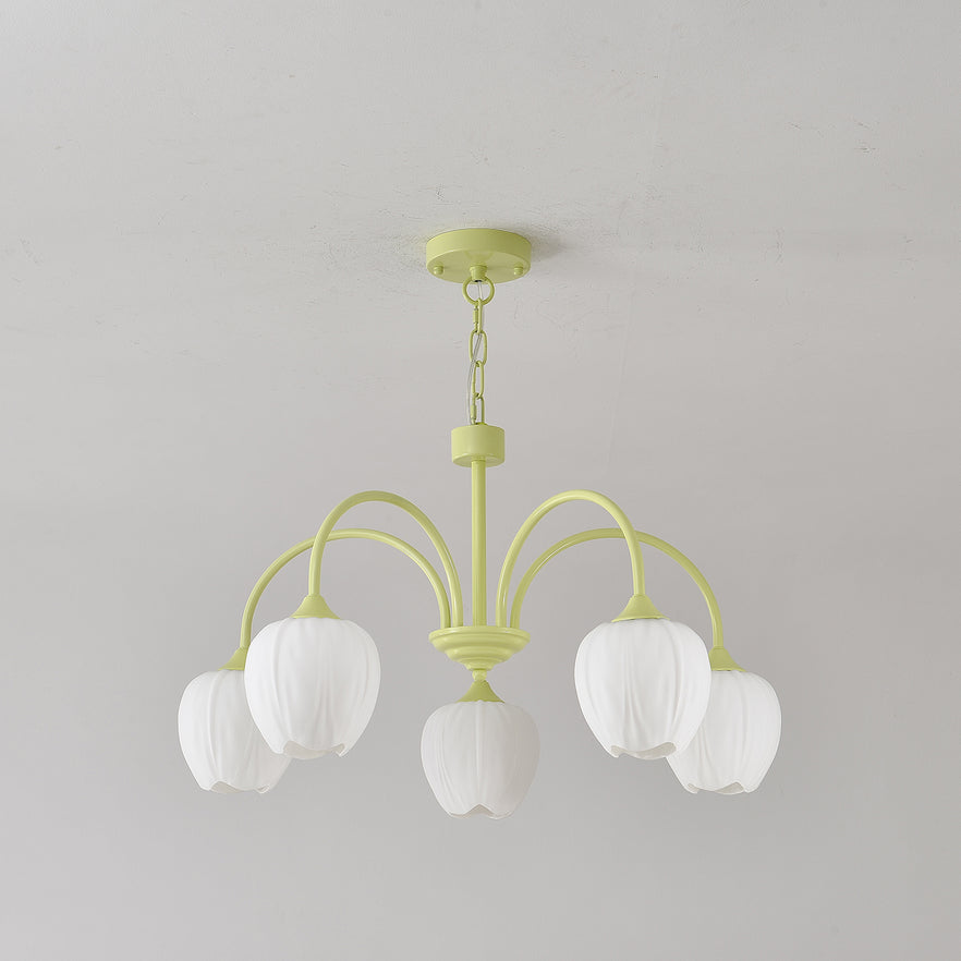 Elegant Chandelier for Home Decor | Stylish Lighting Fixture for Living Room