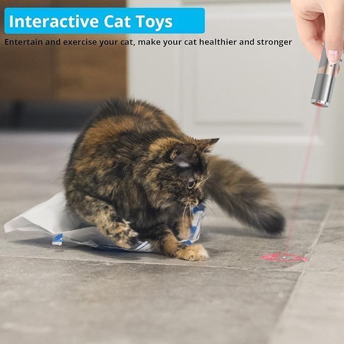 Cat Toy Laser Light Rechargeable Stainless Steel