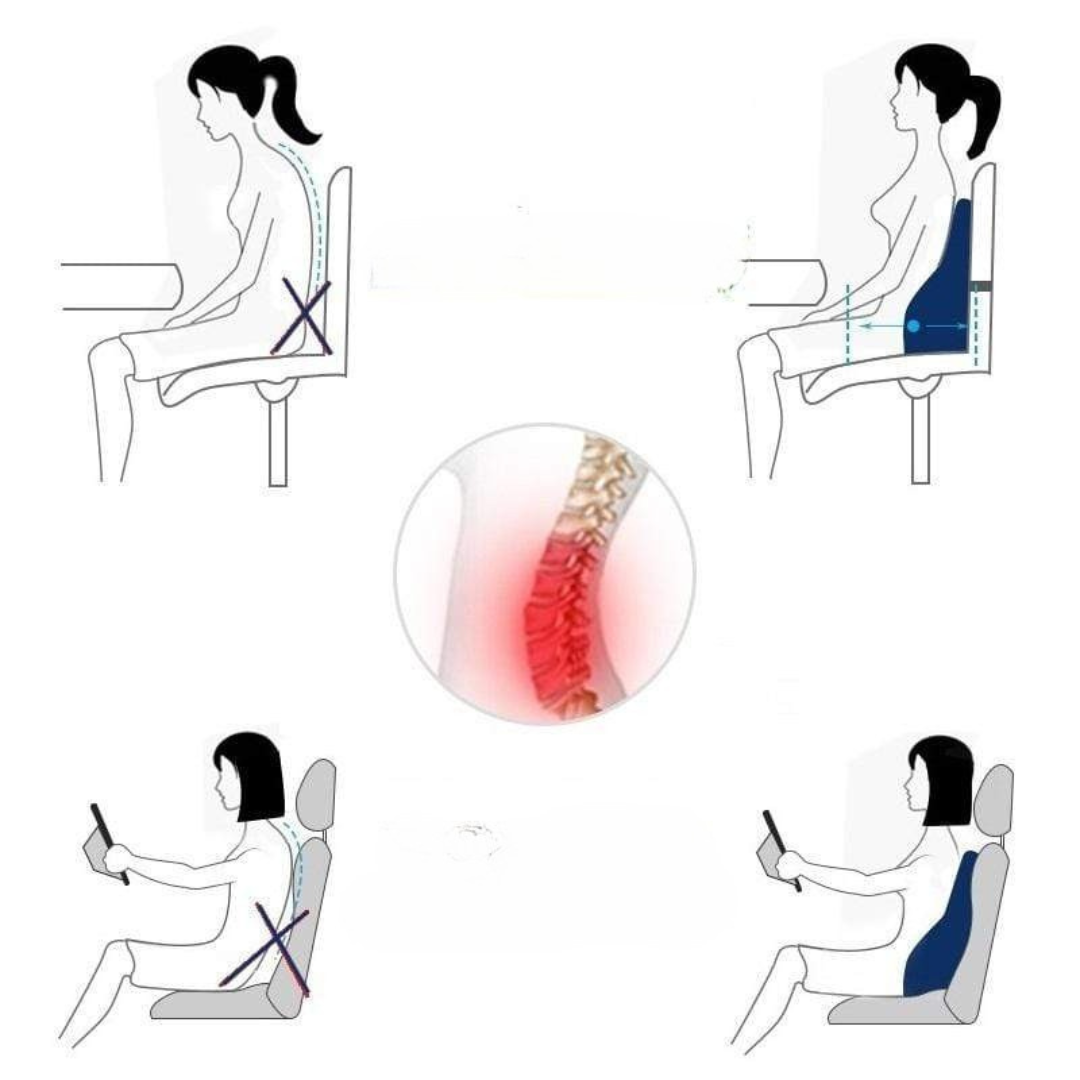 Memory Foam Back Support Cushion