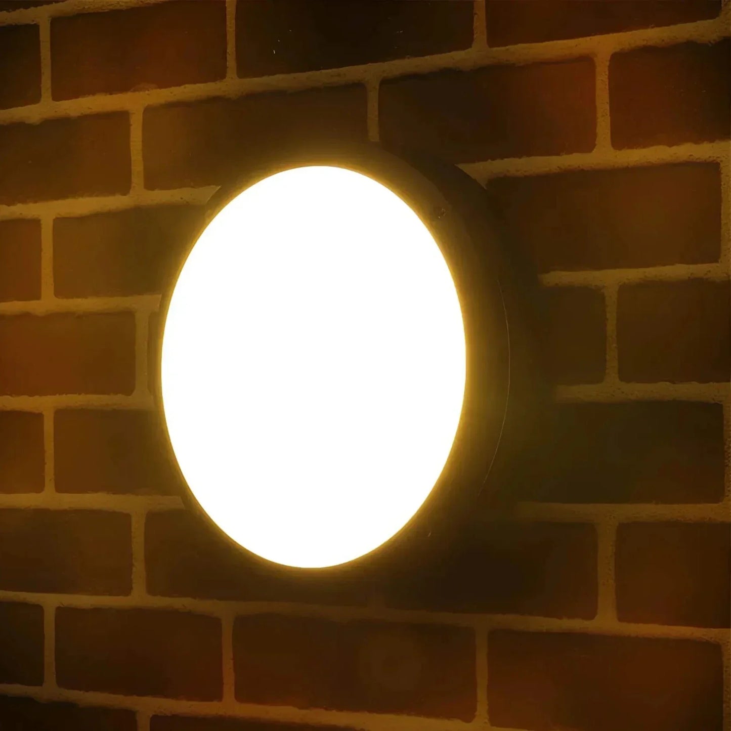 Outdoor Wall Light for Garden and Terrace - Modern Design, Weatherproof