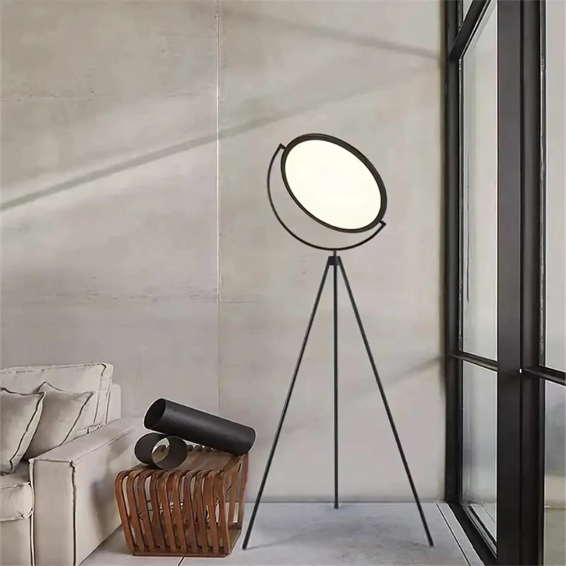 LED Tripod Floor Lamp with Round Head for Living Room