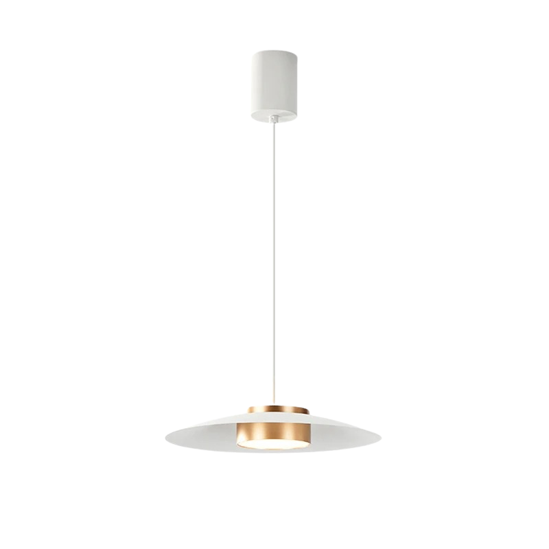 Modern Pendant Light for Dining Room | Stylish LED Fixture for Home Decor