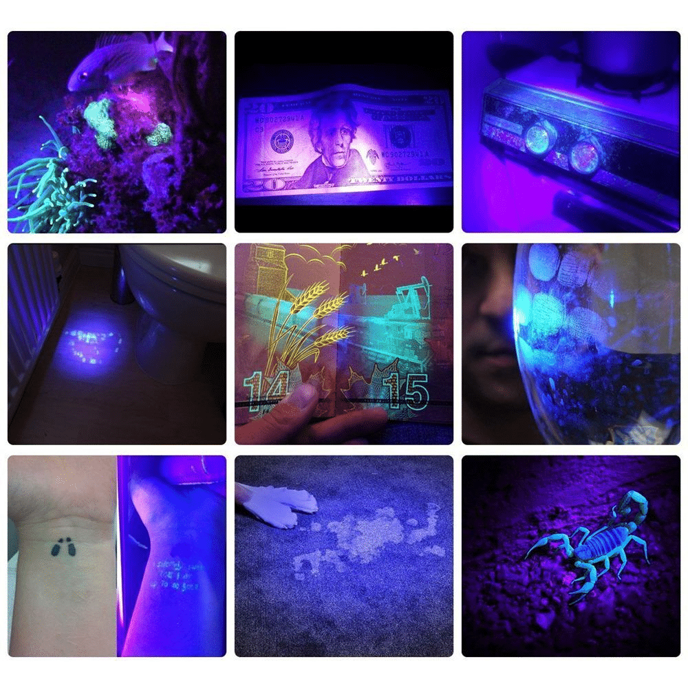 21 LED Pocket UV Lamp