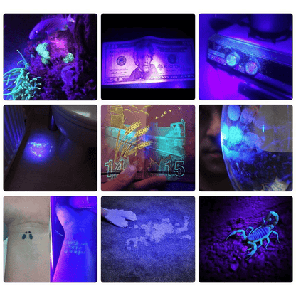 21 LED Pocket UV Lamp