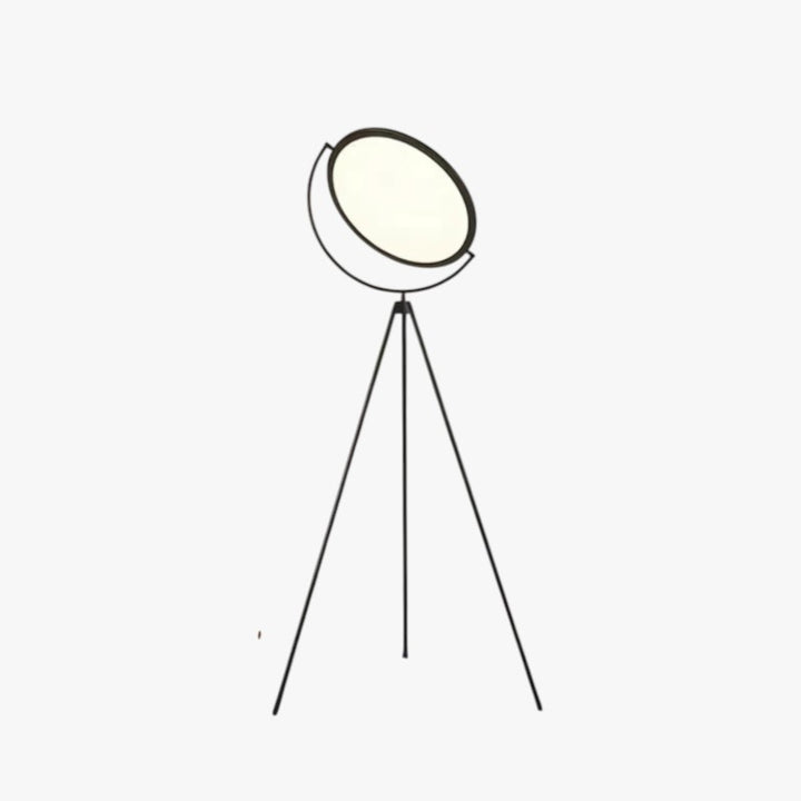 LED Tripod Floor Lamp with Round Head for Living Room