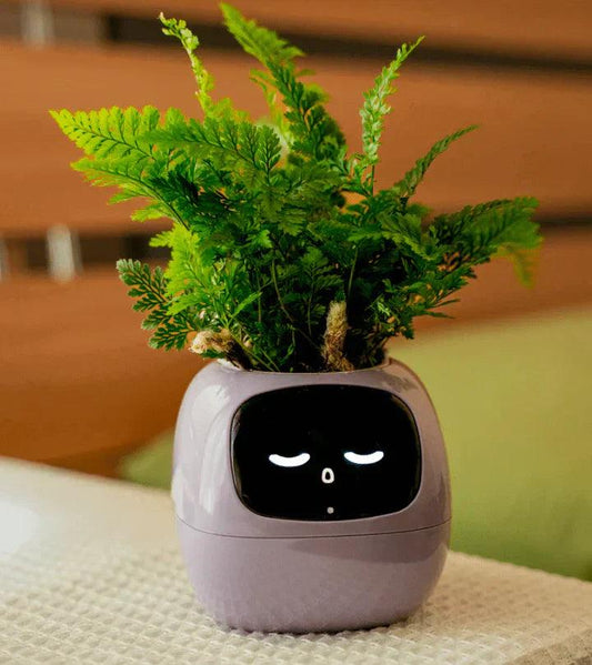 AI Plant Pot – Smart Self-Watering Indoor Planter for Home & Office