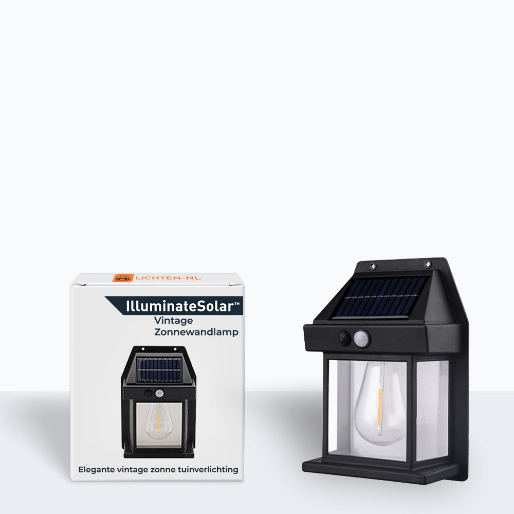 Solar Outdoor Wall Light with Motion Sensor and LED Bulb