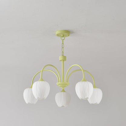 Elegant Chandelier for Home Decor | Stylish Lighting Fixture for Living Room