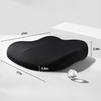 Adult Car Seat Booster