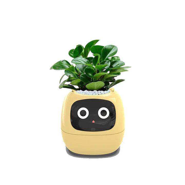 AI Plant Pot – Smart Self-Watering Indoor Planter for Home & Office