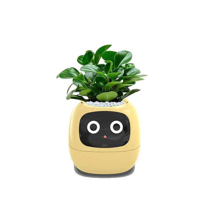 AI Plant Pot – Smart Self-Watering Indoor Planter for Home & Office