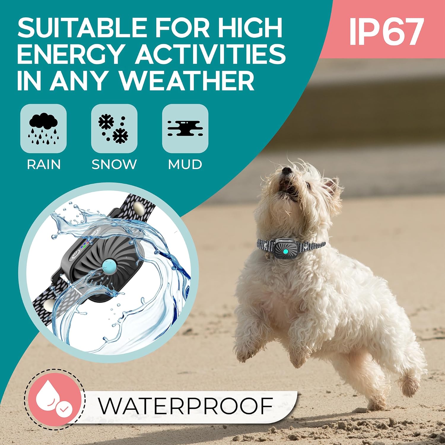 Anti-Barking Collar for Small Dogs