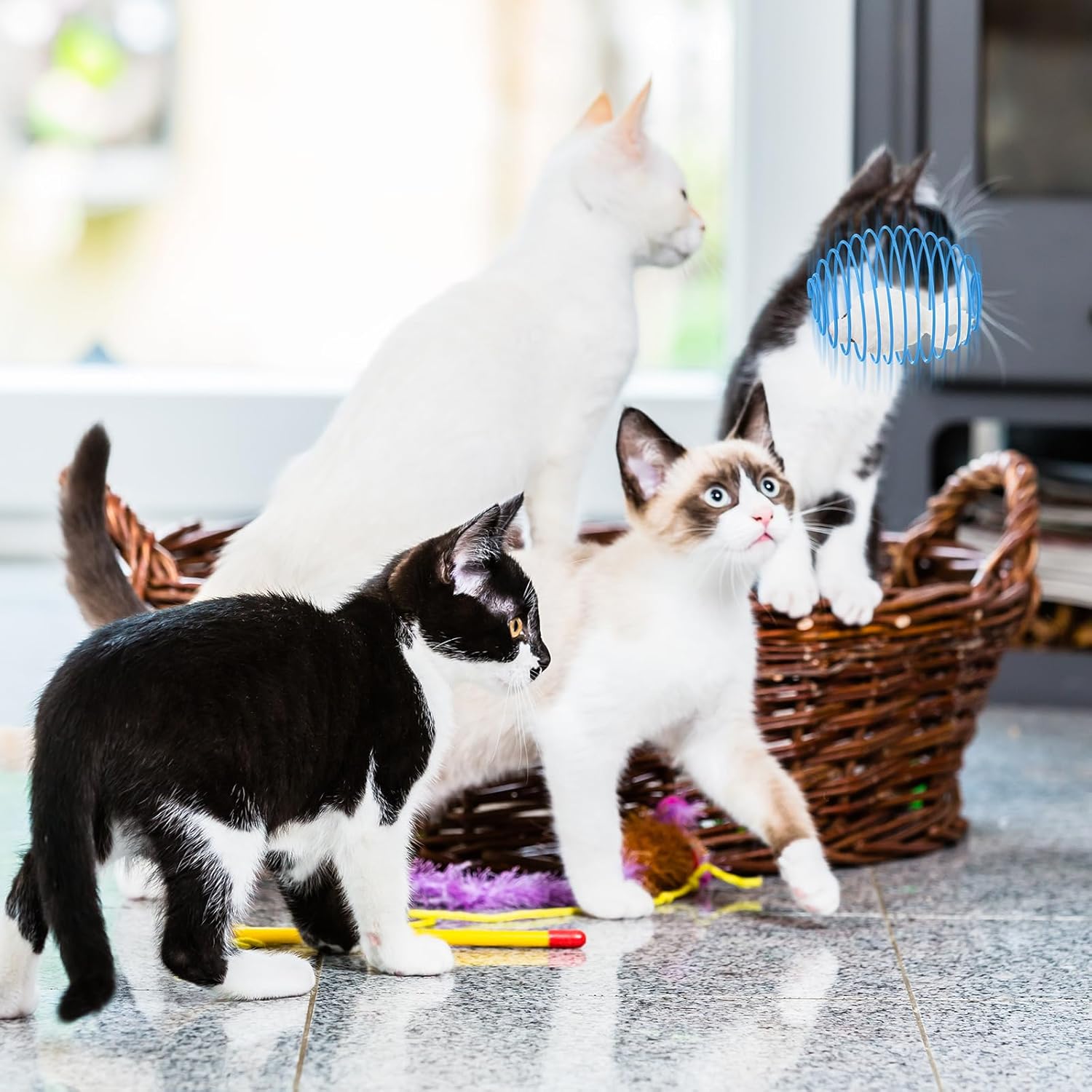 Cat Spring Balls Interactive Toy Set for Kittens and Cats