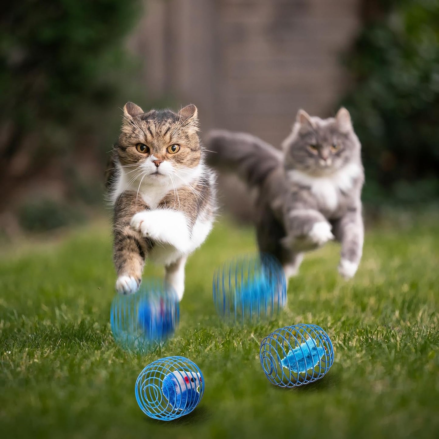 Cat Spring Balls Interactive Toy Set for Kittens and Cats