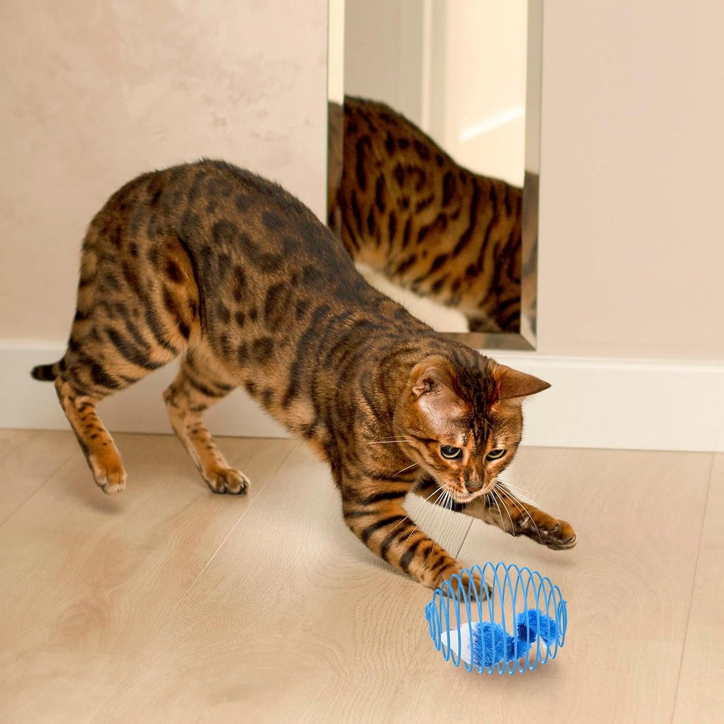 Cat Spring Balls Interactive Toy Set for Kittens and Cats