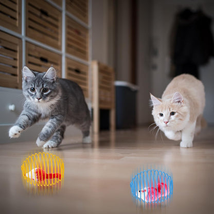 Cat Spring Balls Interactive Toy Set for Kittens and Cats