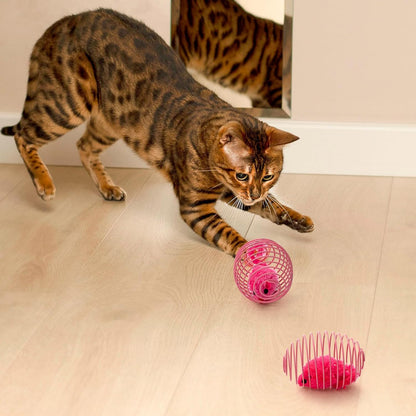 Cat Spring Balls Interactive Toy Set for Kittens and Cats