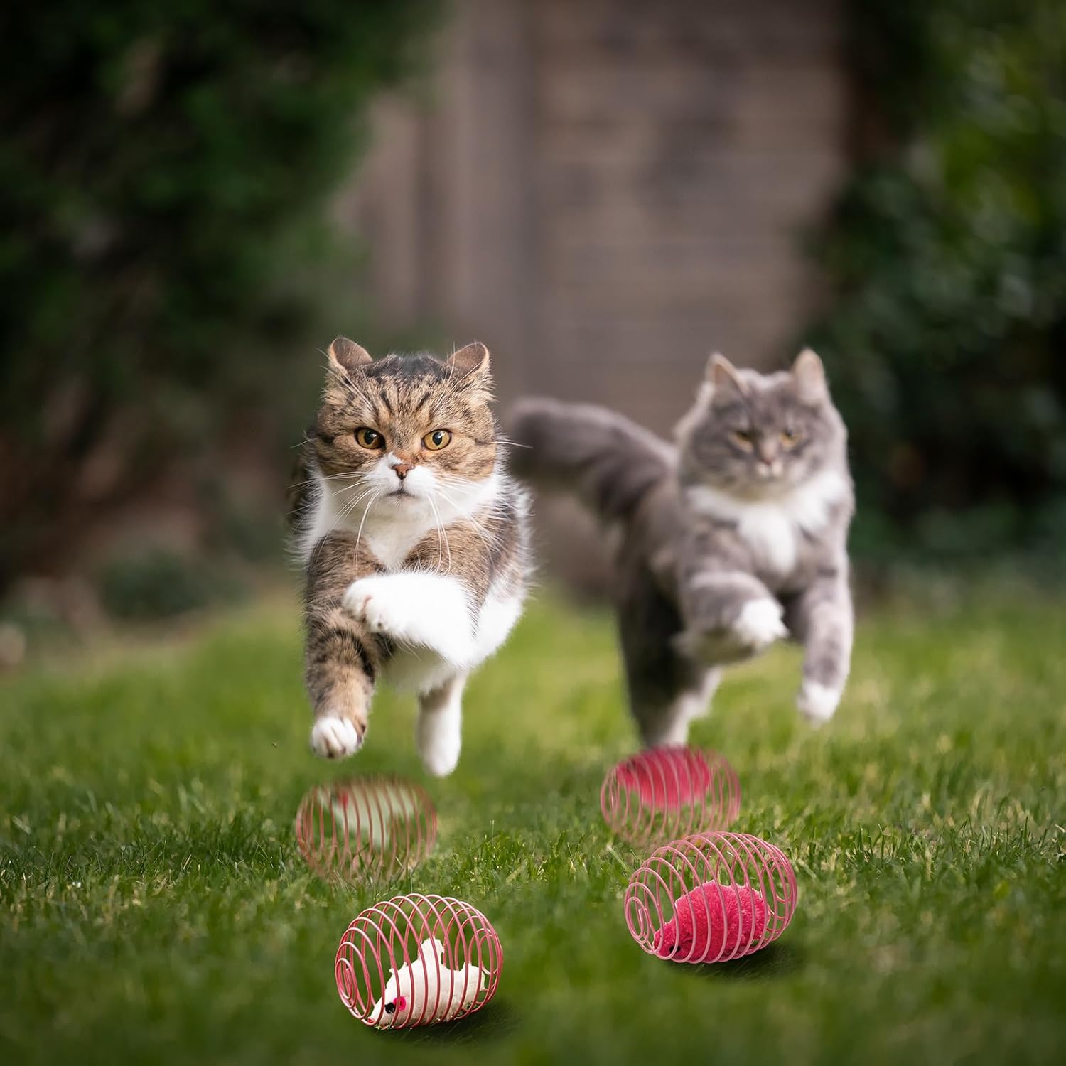 Cat Spring Balls Interactive Toy Set for Kittens and Cats