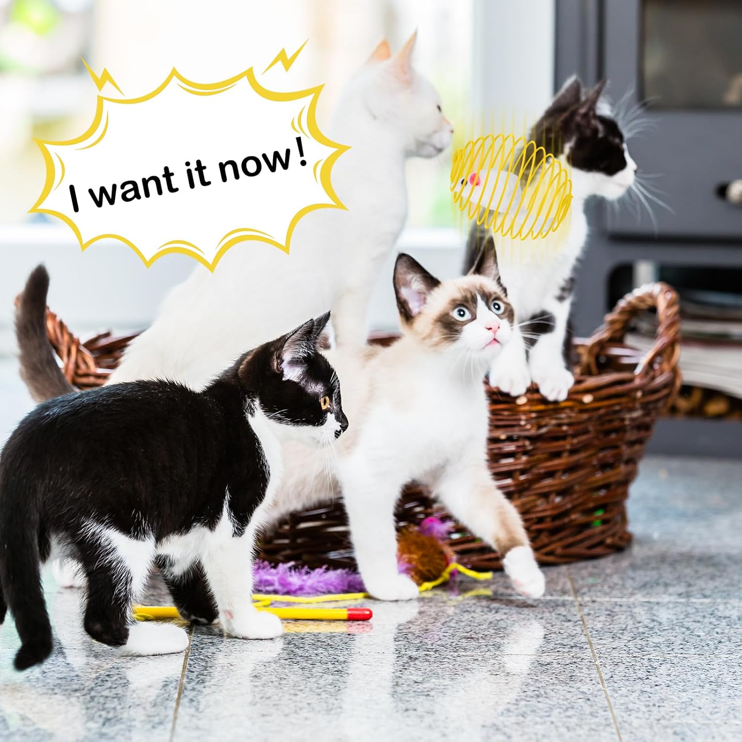 Cat Spring Balls Interactive Toy Set for Kittens and Cats