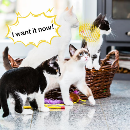 Cat Spring Balls Interactive Toy Set for Kittens and Cats