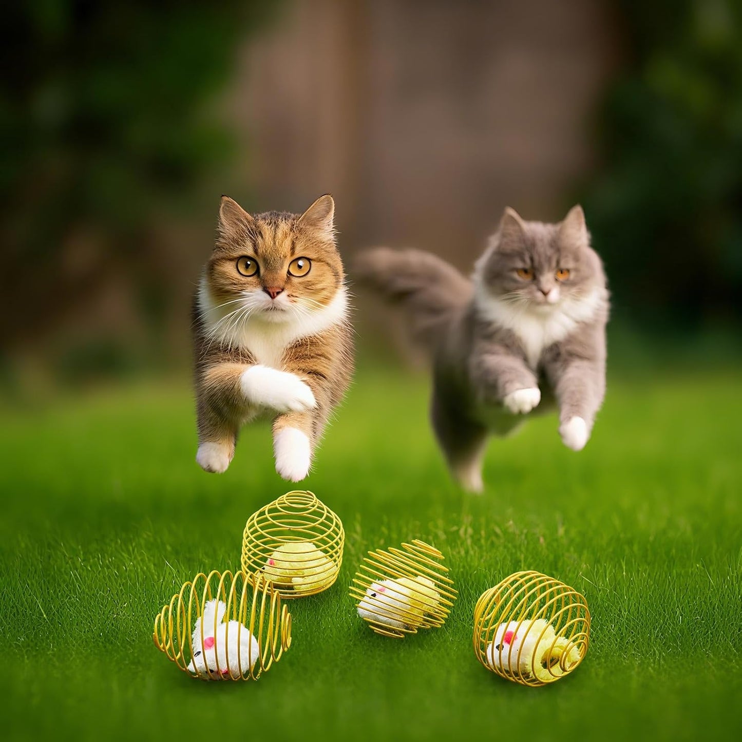 Cat Spring Balls Interactive Toy Set for Kittens and Cats