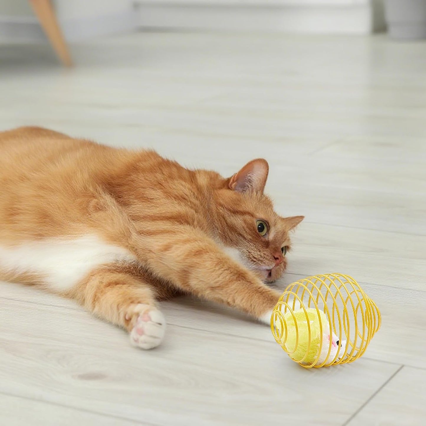 Cat Spring Balls Interactive Toy Set for Kittens and Cats
