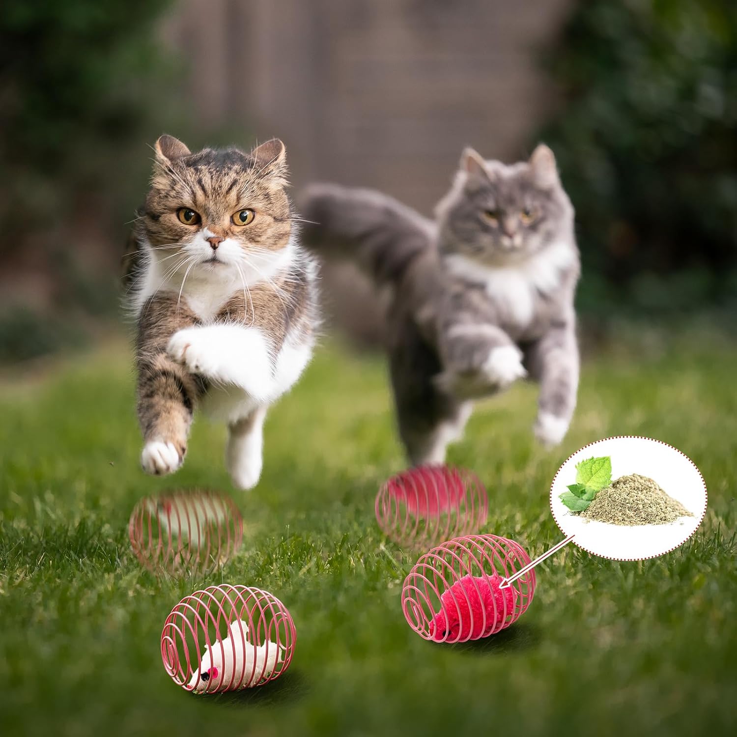 Cat Spring Balls Interactive Toy Set for Kittens and Cats