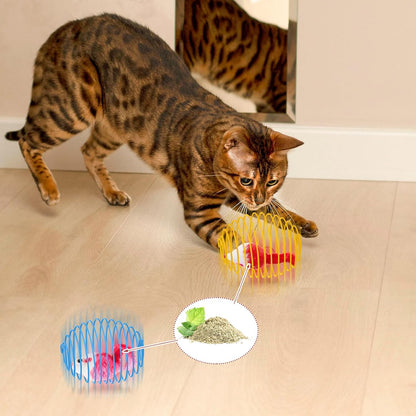 Cat Spring Balls Interactive Toy Set for Kittens and Cats