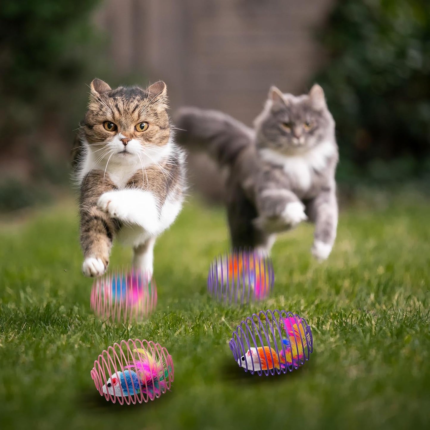 Cat Spring Balls Interactive Toy Set for Kittens and Cats