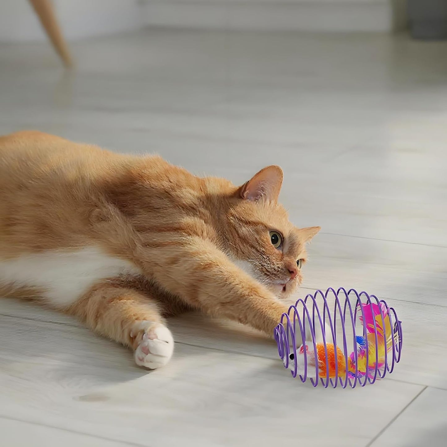 Cat Spring Balls Interactive Toy Set for Kittens and Cats