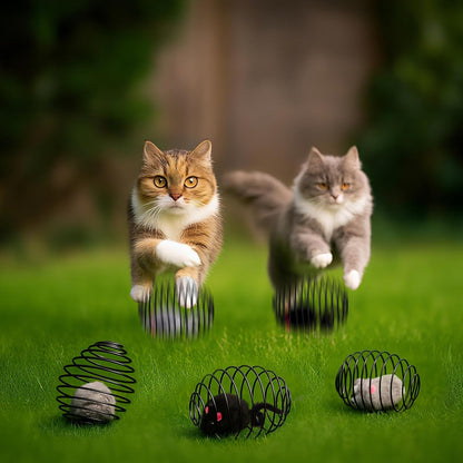 Cat Spring Balls Interactive Toy Set for Kittens and Cats