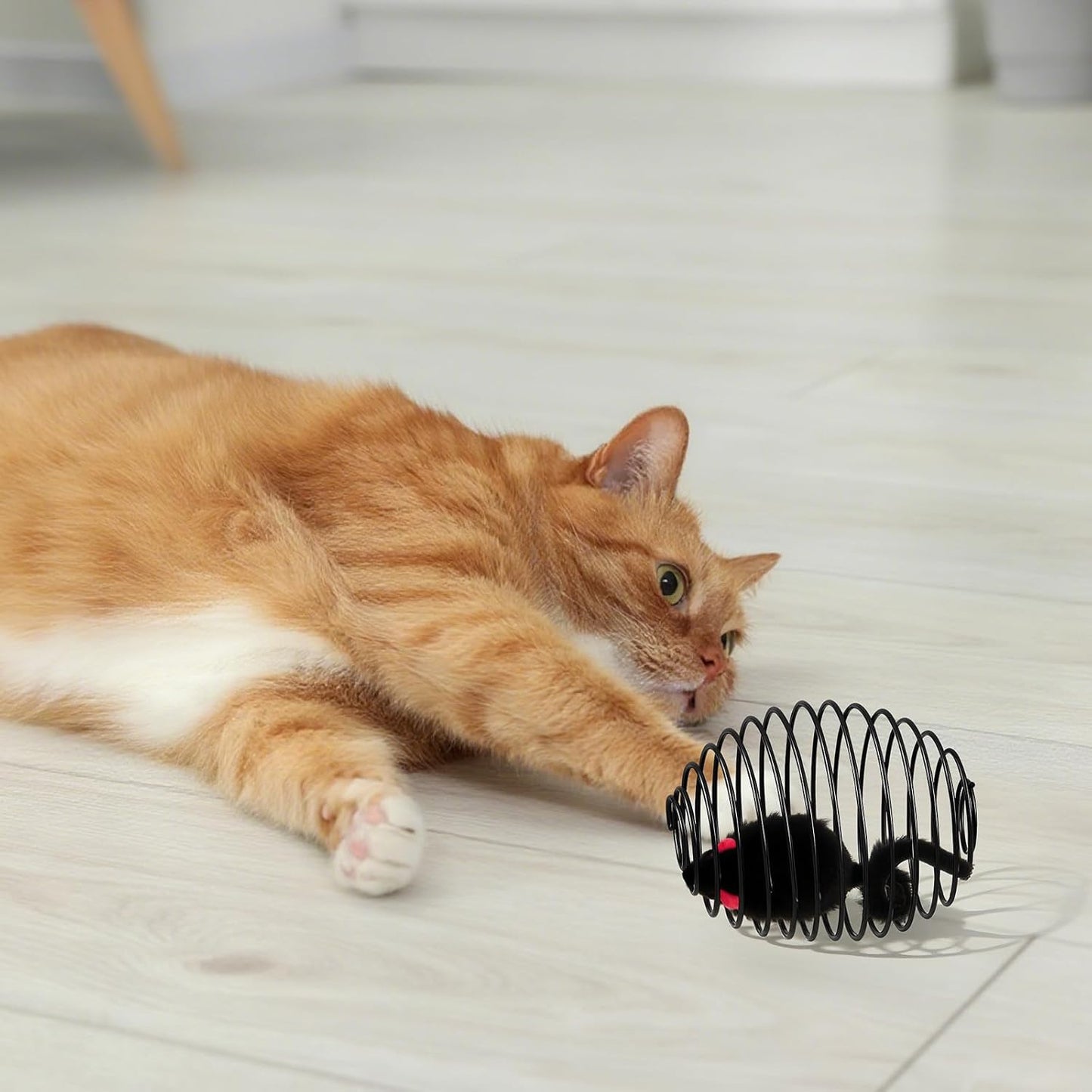 Cat Spring Balls Interactive Toy Set for Kittens and Cats