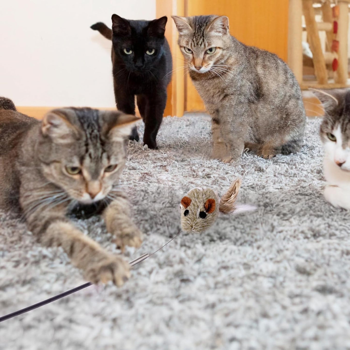 Cat Wand Toy 2 in 1 with Teaser, Spring Steel Wire, and Feather Refills