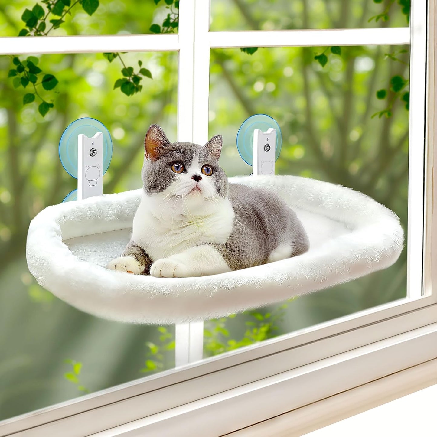 Cat Window Perch Hammock Foldable Bed with Suction Cups and Frame