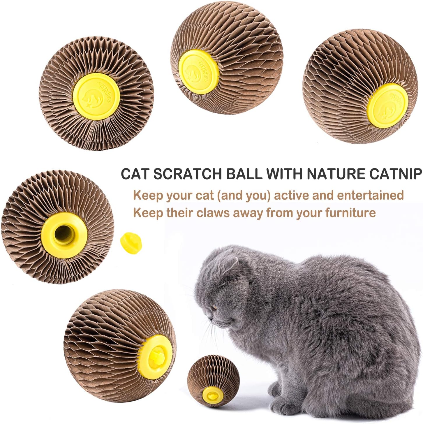 Catnip Ball Toy Refillable Scratching Ball for Cats