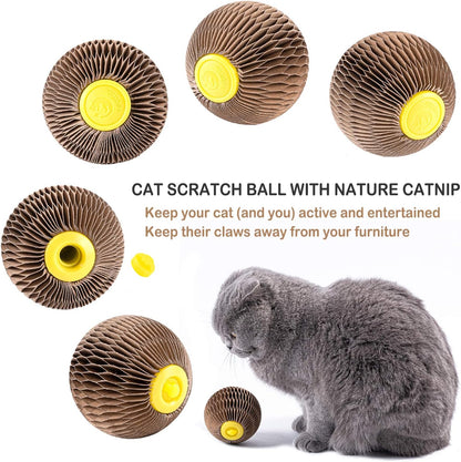 Catnip Ball Toy Refillable Scratching Ball for Cats