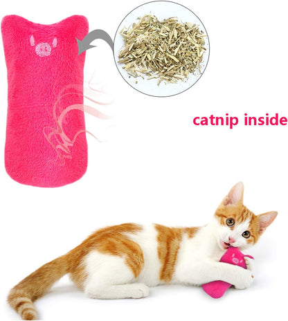 Catnip Toy Mice for Cats 5 Pack Bite Resistant Chew Teething Toys