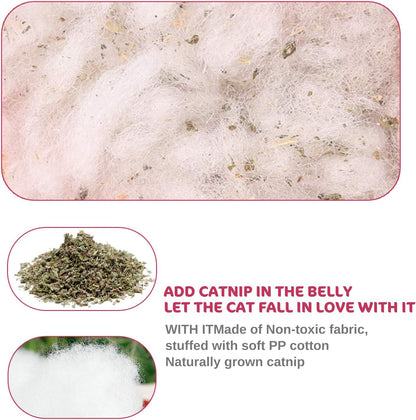 Catnip Toy Mice for Cats 5 Pack Bite Resistant Chew Teething Toys