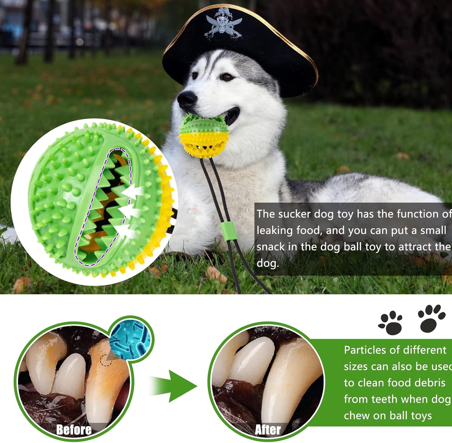 Dog Chew Toys for Aggressive Chewers Puppy Training Rope Puzzle Ball