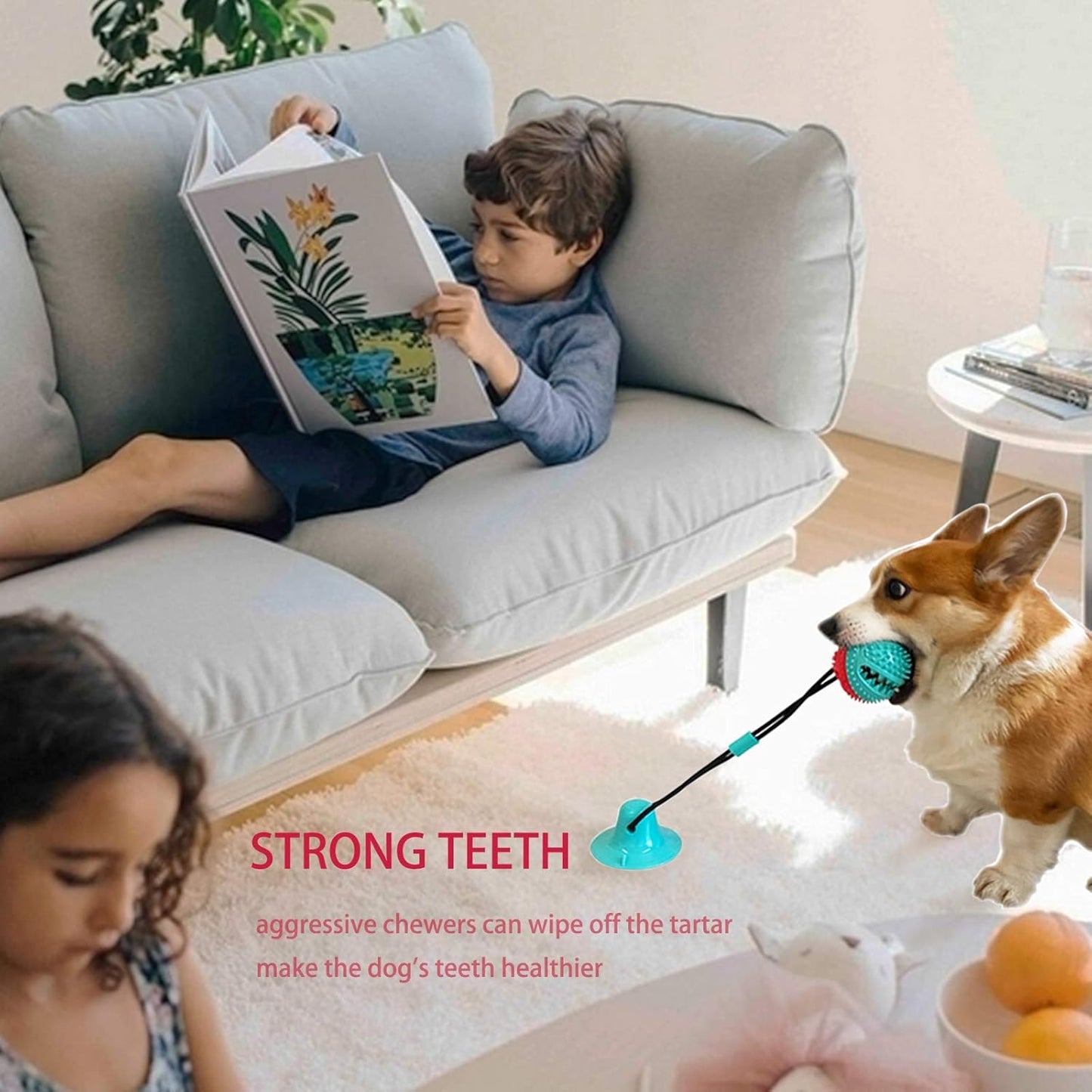 Dog Chew Toys for Aggressive Chewers Puppy Training Rope Puzzle Ball