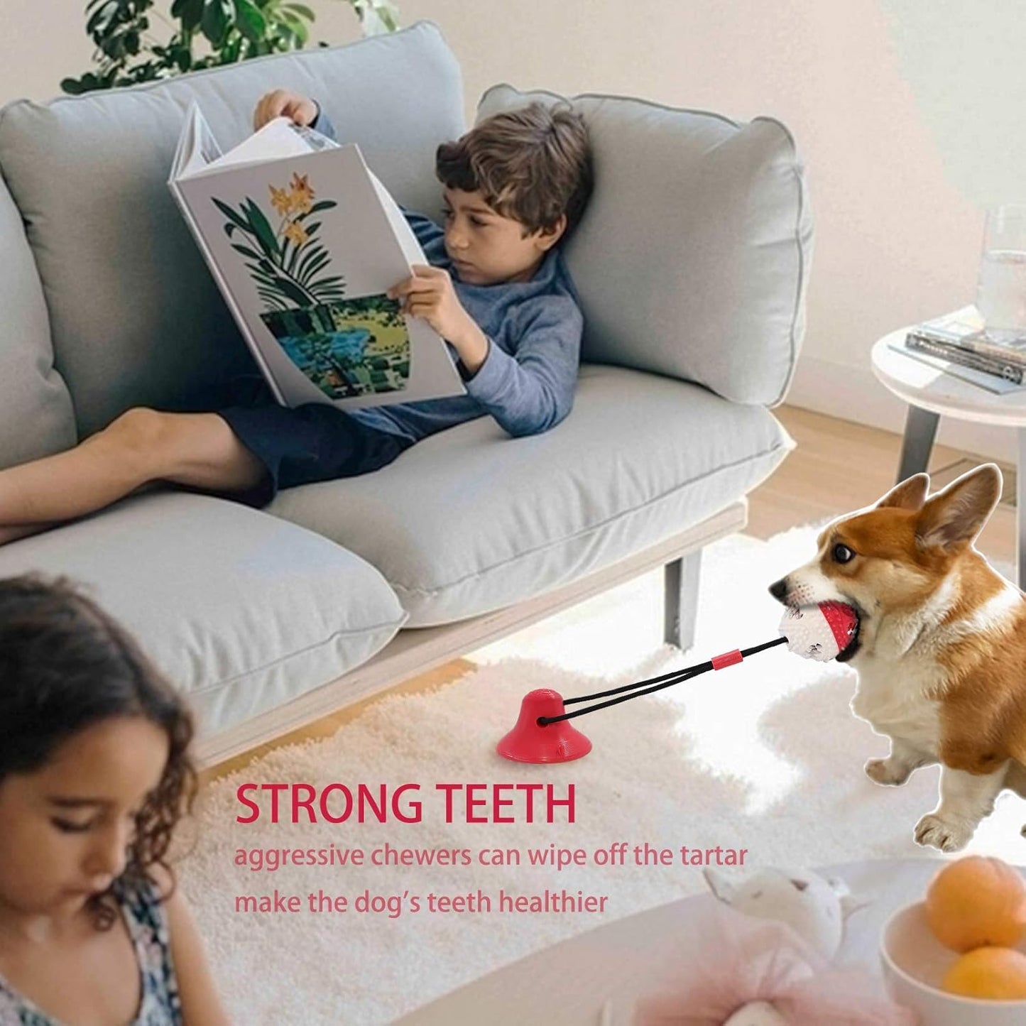 Dog Chew Toys for Aggressive Chewers Puppy Training Rope Puzzle Ball