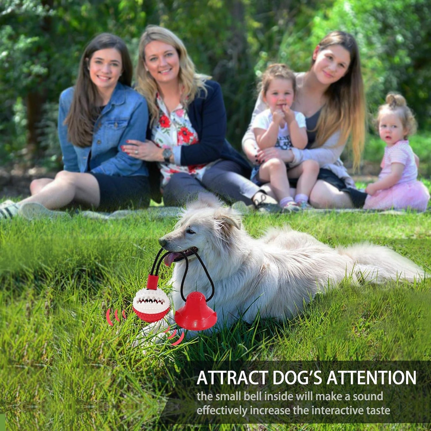 Dog Chew Toys for Aggressive Chewers Puppy Training Rope Puzzle Ball