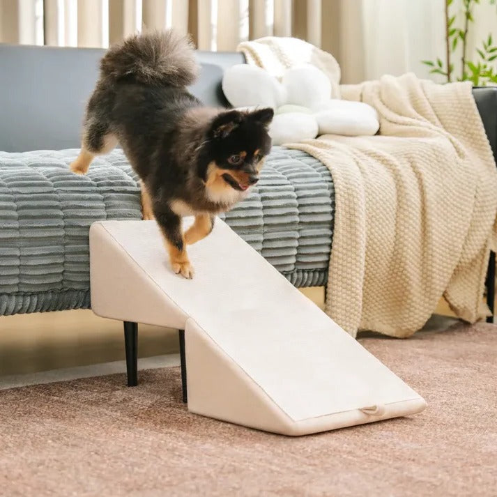 Dog Ramp Step Stool Convertible 2-in-1