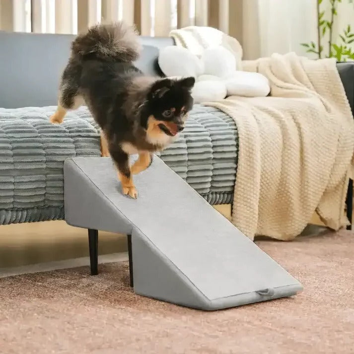 Dog Ramp Step Stool Convertible 2-in-1