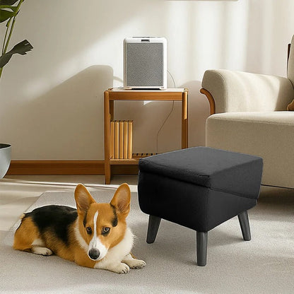 Dog Ramp Step Stool Convertible 2-in-1