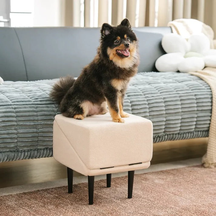 Dog Ramp Step Stool Convertible 2-in-1