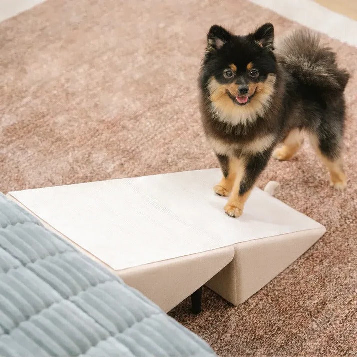 Dog Ramp Step Stool Convertible 2-in-1