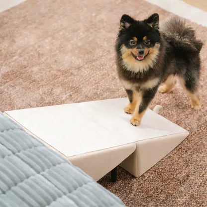 Dog Ramp Step Stool Convertible 2-in-1